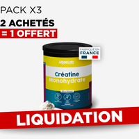 Créatine Monohydrate en poudre