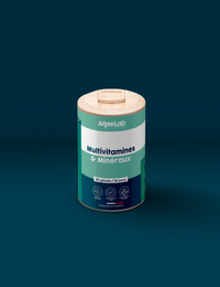 Multivitamines et minéraux – Gélules