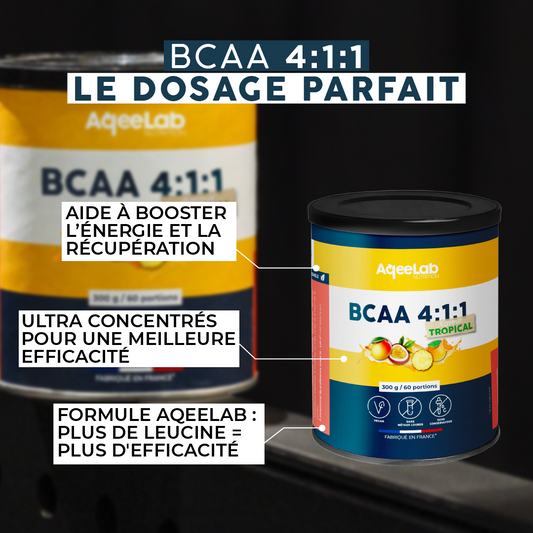 BCAA 4:1:1 - Poudre
