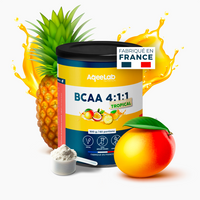 BCAA 4:1:1 - Poudre