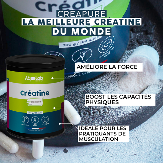Créatine (Creapure®) - Poudre