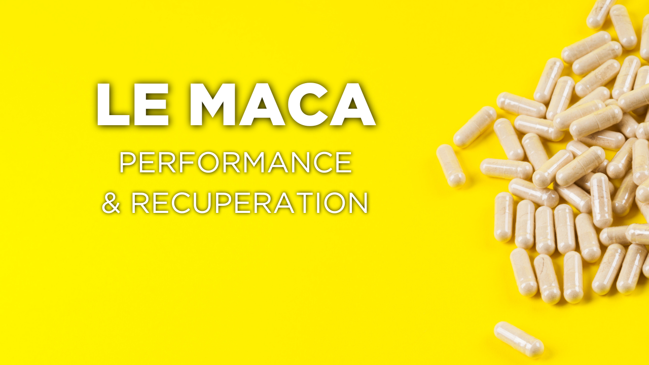 Études : le maca pour améliorer la performance sportive et la récupération Image