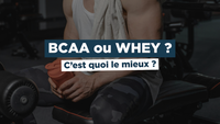 Prendre des BCAA ou de la WHEY ? C’est quoi le mieux ?