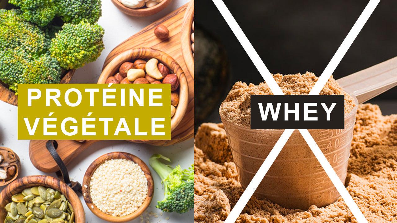 Protéines et whey dans la gamme AqeeLab Nutrition Image