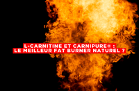L-Carnitine et Carnipure® : le meilleur fat burner naturel ?