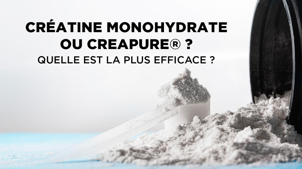 Créatine monohydrate ou Creapure® ? Quelle est la plus efficace ?