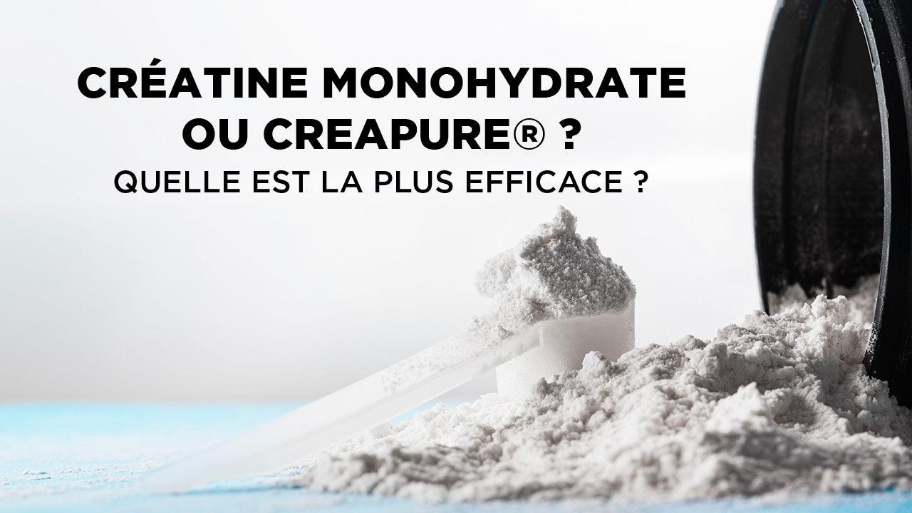 Créatine monohydrate ou Creapure® ? Quelle est la plus efficace ? - AqeeLab Nutrition Image