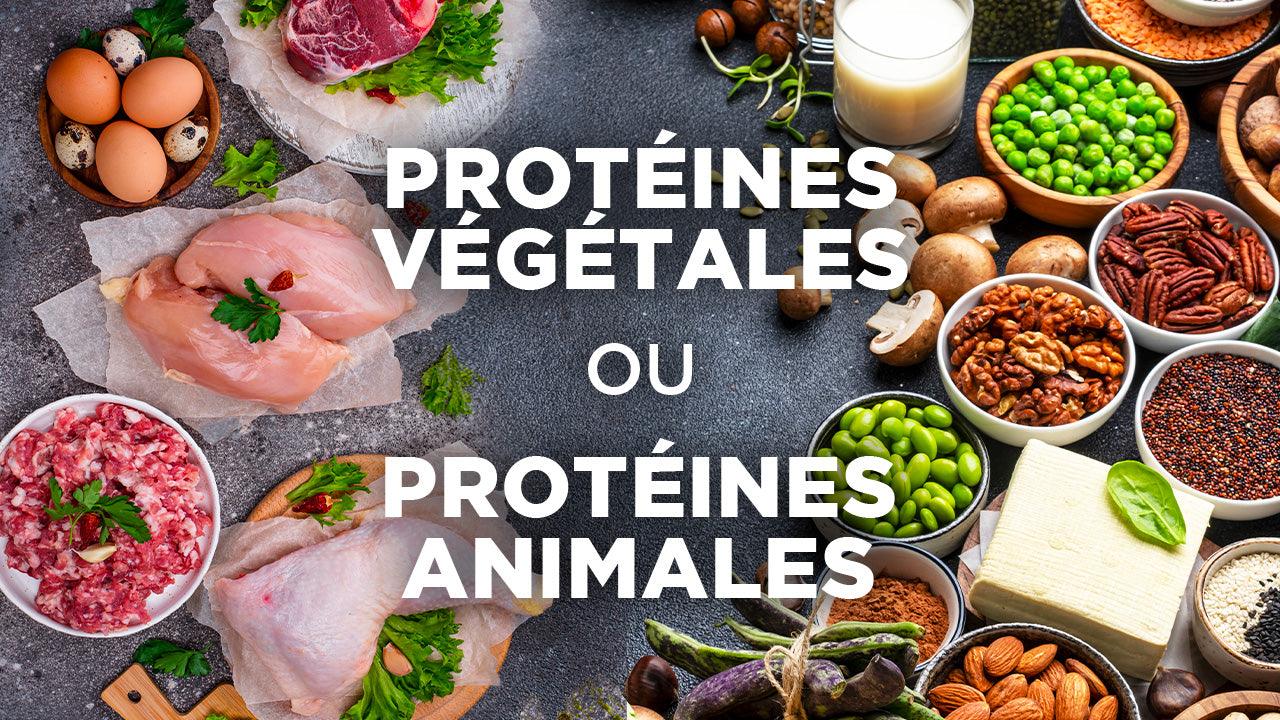 Quelle est la meilleure protéine en poudre : animale ou végétale ? - AqeeLab Nutrition Image