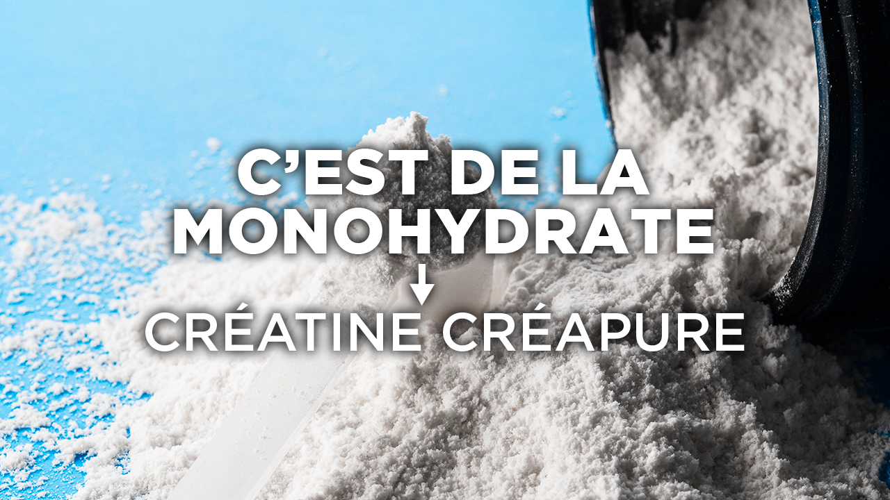 La CREAPURE c’est aussi de la créatine monohydrate - AqeeLab Nutrition Image