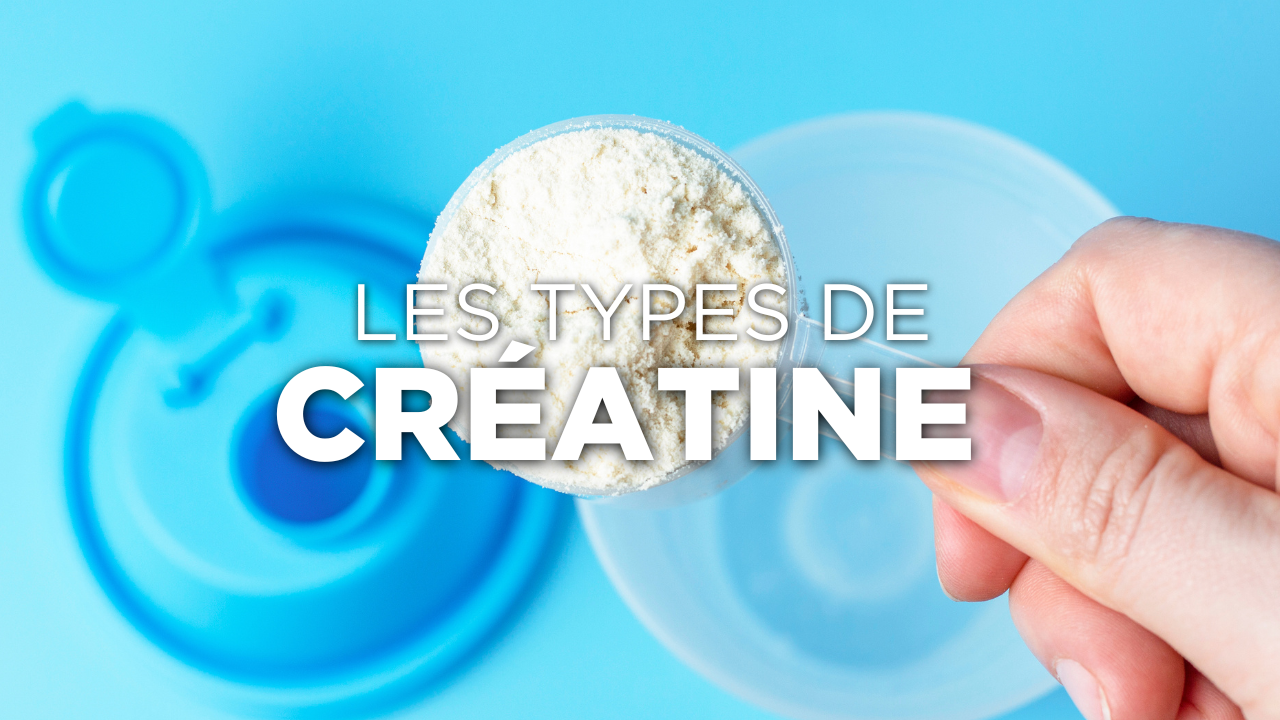 Quels sont les différents types de créatine ? Image