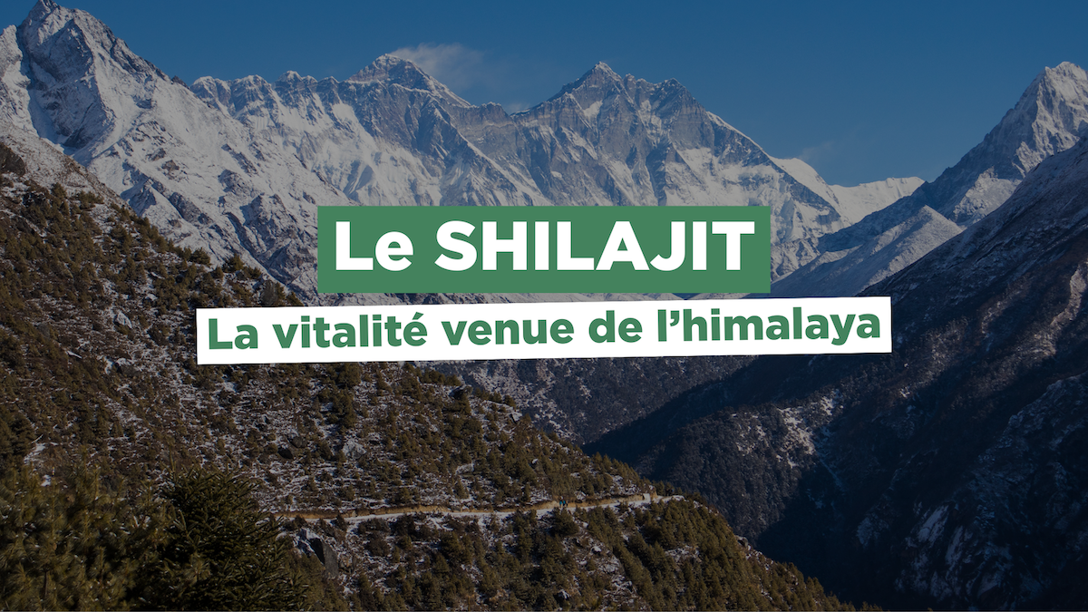 Faut-il prendre du Shilajit ? Tout savoir sur ce complément venu d'Himalaya : effets et dangers Image