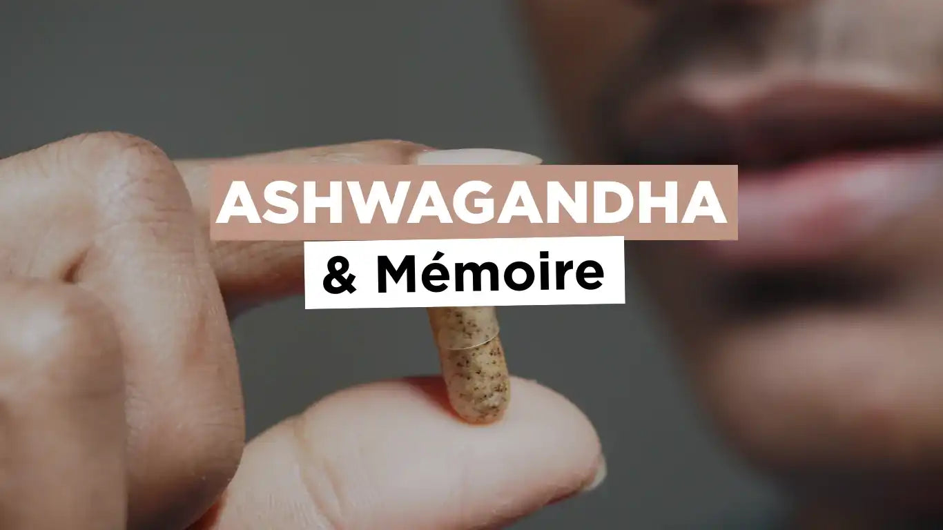 Étude : Ashwagandha pour améliorer la mémoire et la concentration Image