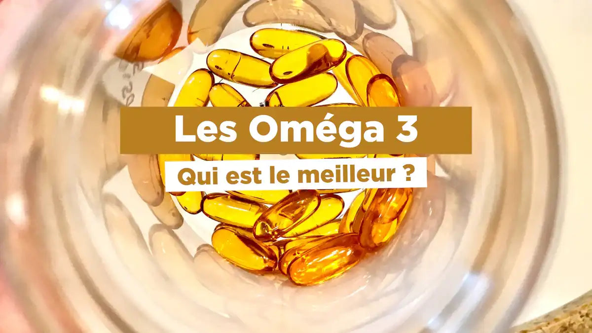Oméga 3 Omegavie® ou Golden Mega® ou EPAX® ? Quel est le meilleur ? Le comparatif !