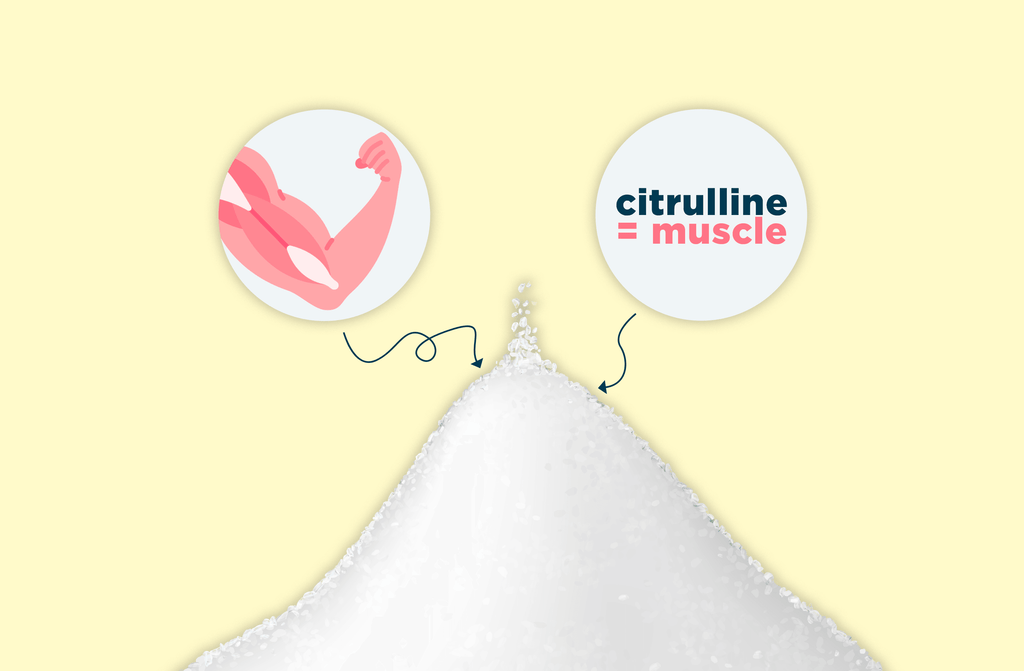 La citrulline semble avoir un effet très intéressant sur la masse musculaire et osseuse