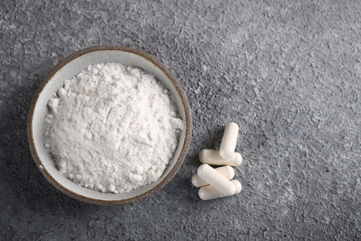 Le collagène et le collagène Peptan® - AqeeLab Nutrition Image