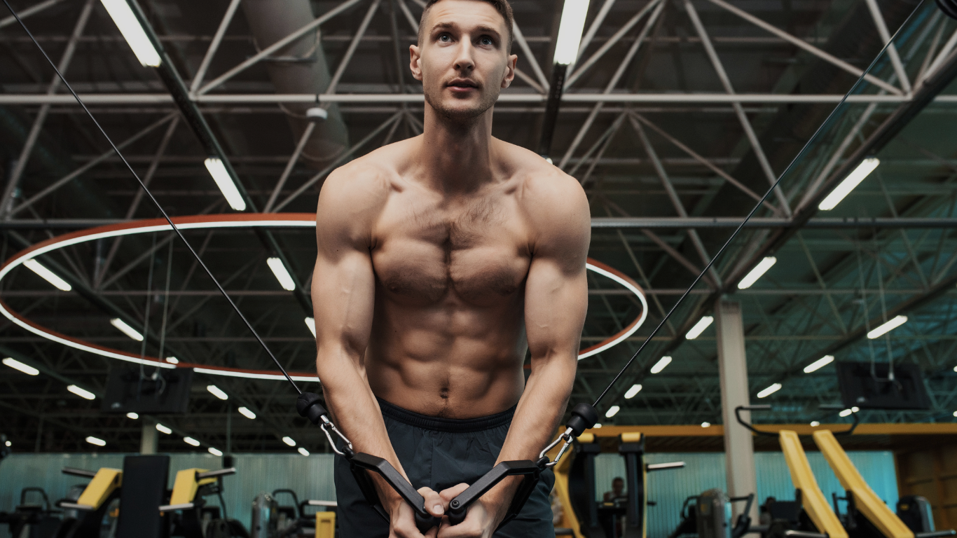 Comment faire son programme de muscu pour la sèche ? Image