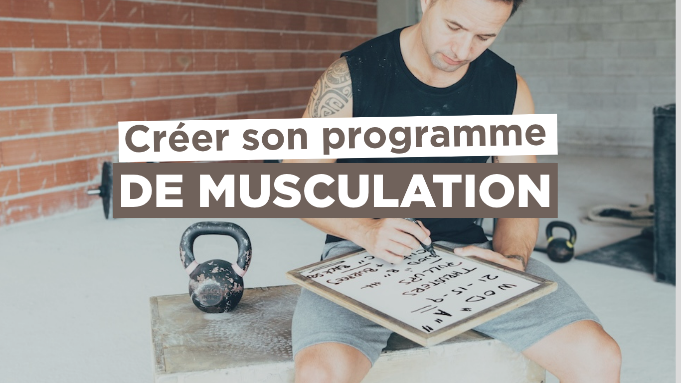 Comment créer son programme de musculation : méthode simple pour progresser Image