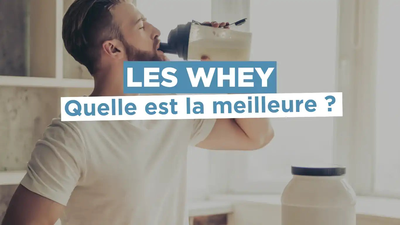 Quelle est la meilleure whey protéine ? Isolat, concentrée, clear ou hydrolysée ?