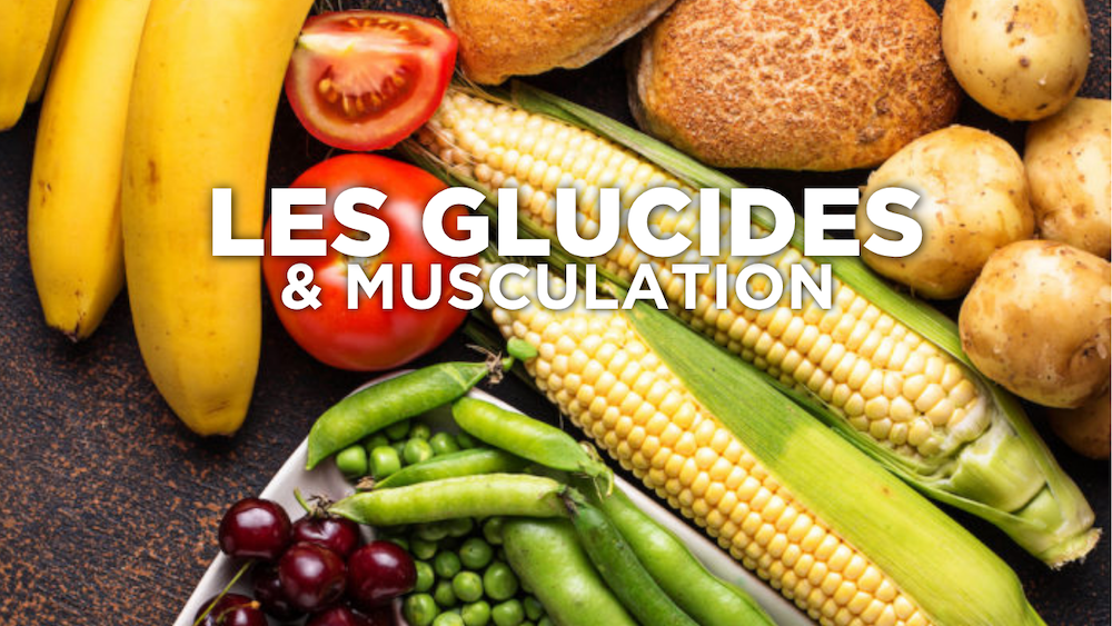 Nutrition : les glucides en musculation Image