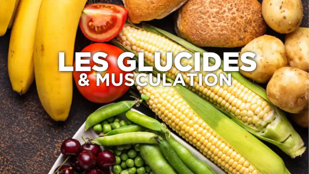 Nutrition : les glucides en musculation