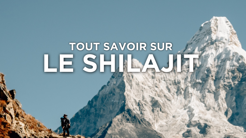 Faut-il prendre du Shilajit ? Tout savoir sur ce complément venu d'Himalaya : effets et dangers