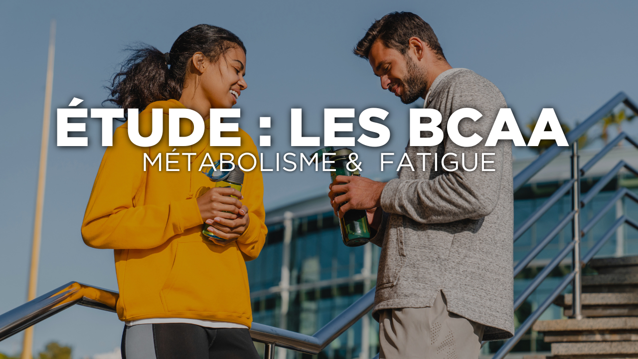 Étude : les BCAA améliorent le métabolisme et réduisent la fatigue post-training Image