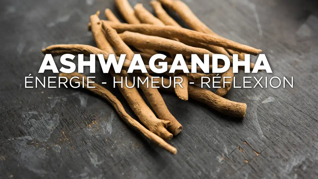 Ashwagandha pour booster l’énergie, l'humeur et la réflexion