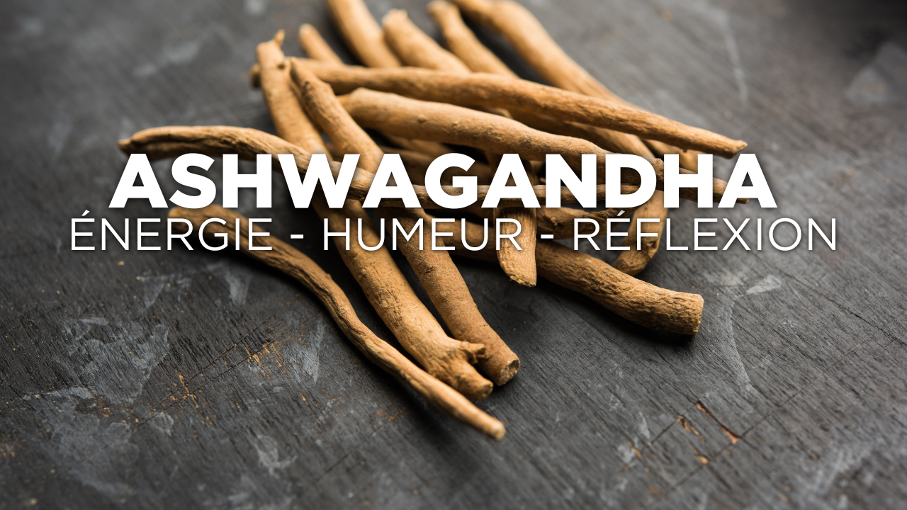 Ashwagandha pour booster l’énergie, l'humeur et la réflexion Image