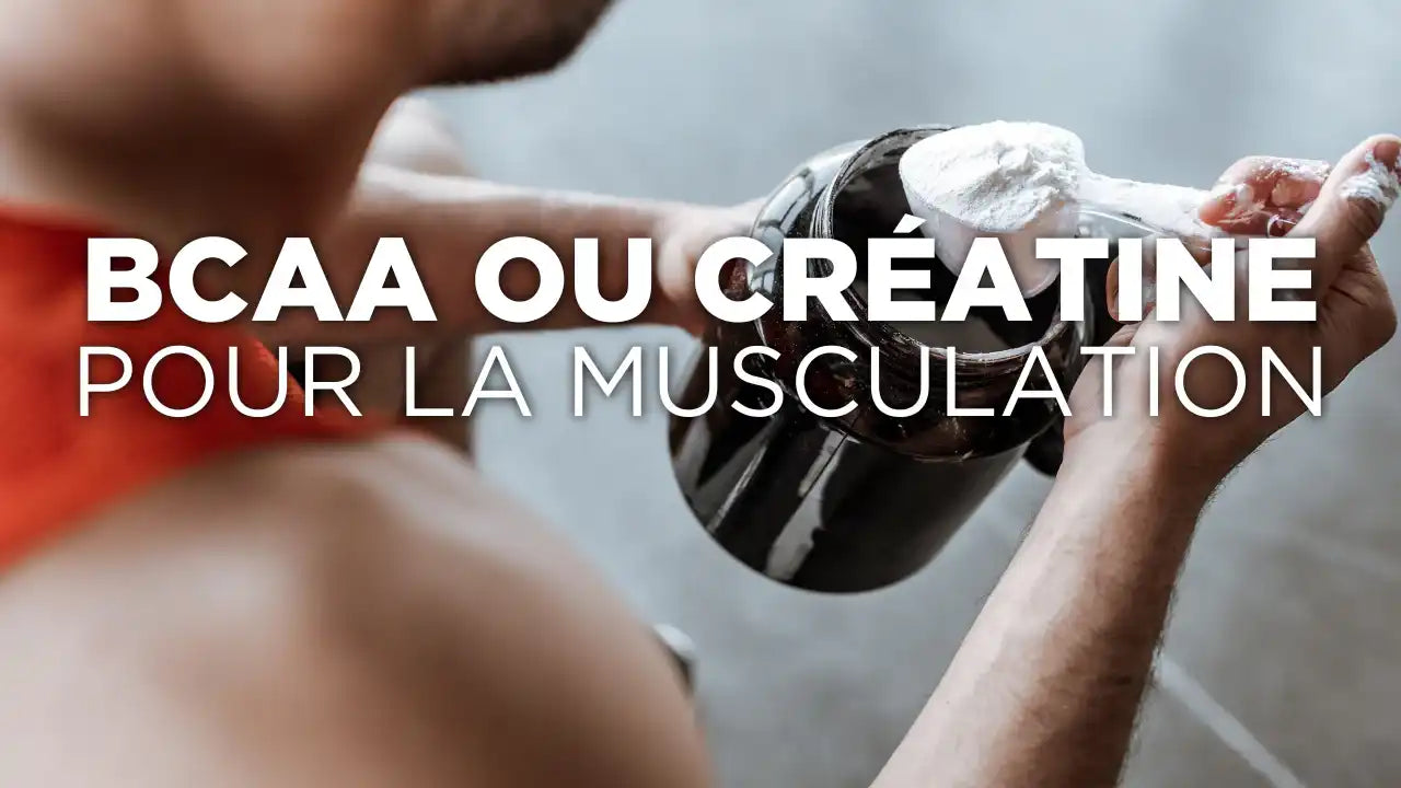 C’est mieux de prendre des BCAA ou de la créatine pour la musculation ? Image