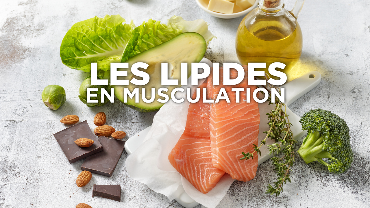 Nutrition : les lipides en musculation Image