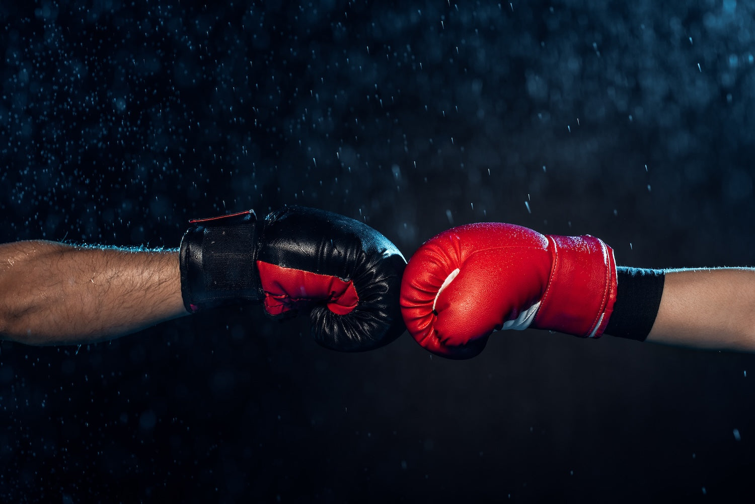 BCAA et sports de combat : boxe, MMA, judo, ce qu'ils changent vraiment à ta récupération musculaire Image