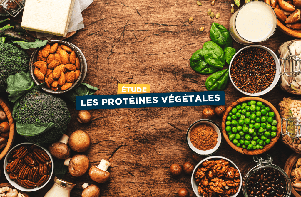 Les protéines végétales seraient aussi efficaces que la Whey pour la croissance musculaire