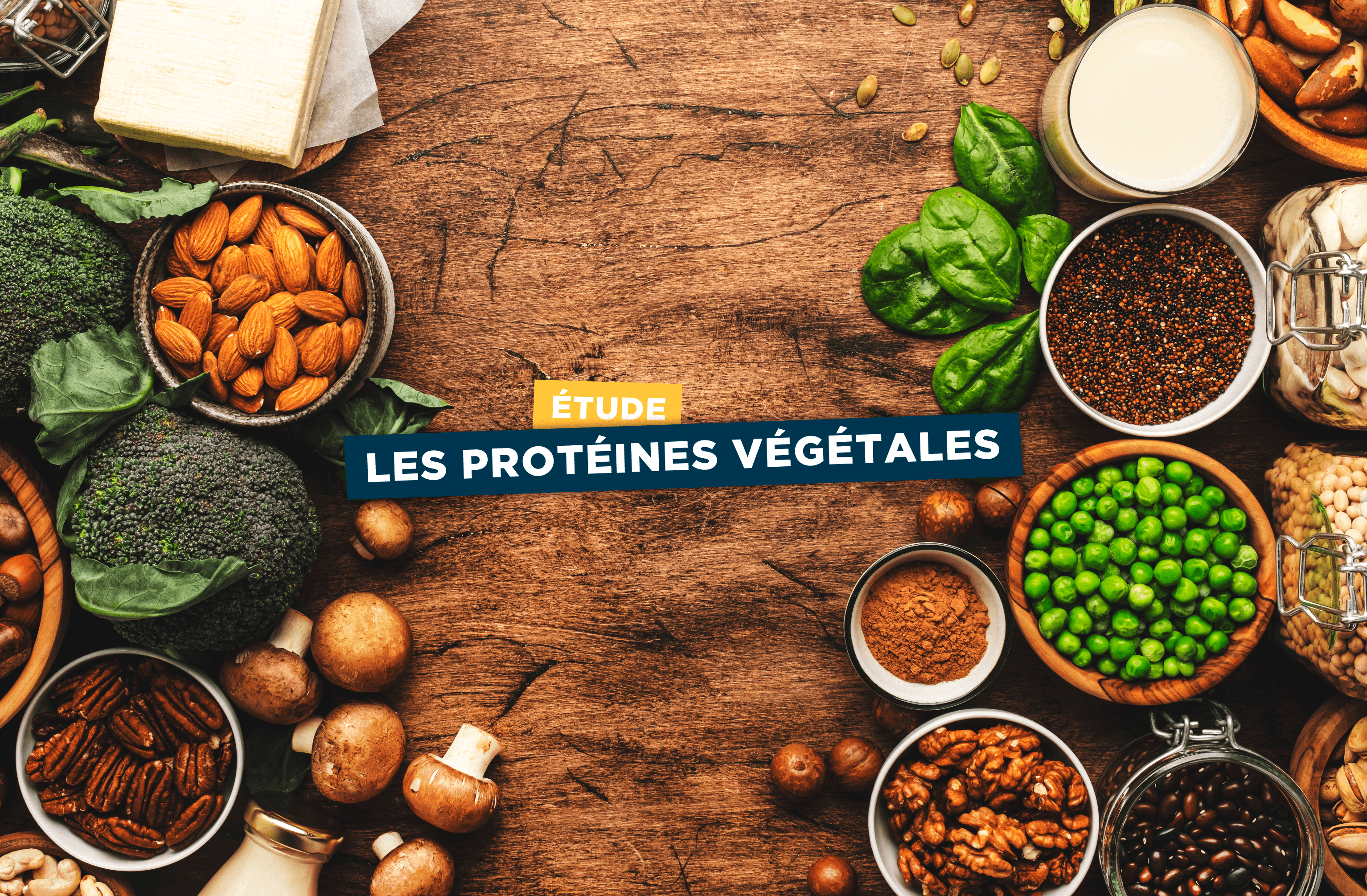Les protéines végétales seraient aussi efficaces que la Whey pour la croissance musculaire - AqeeLab Nutrition Image