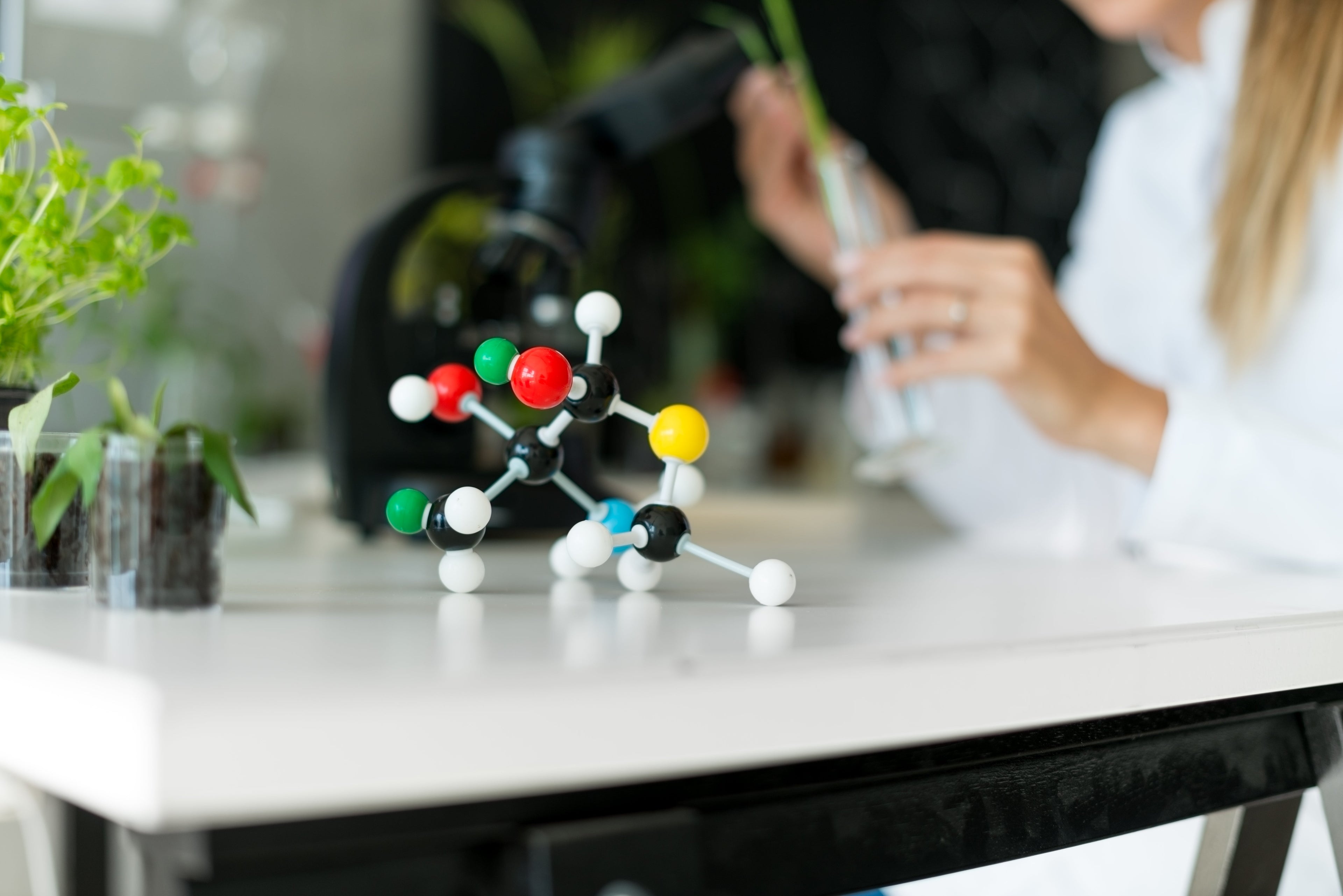 La taurine, c'est quoi ? Définition, effets, dosage et conseils Image