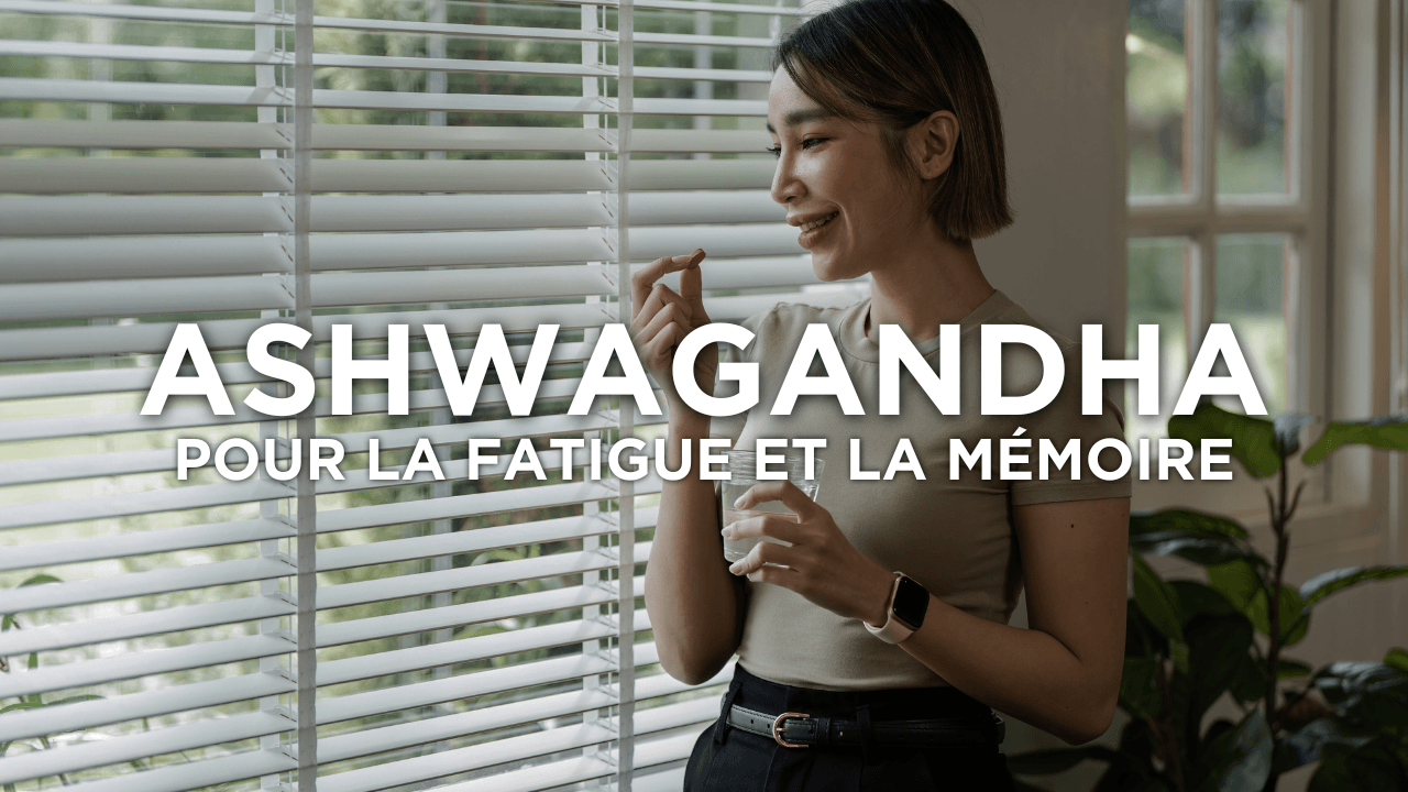 L’ashwagandha pour améliorer la mémoire et réduire la fatigue - AqeeLab Nutrition Image