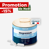 Magnésium Bisglycinate + B6 - Gélules