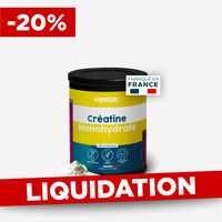 Créatine Monohydrate en poudre