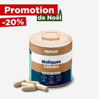 ProBiotiques Vegan - Gélules