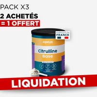 Citrulline Base - Poudre