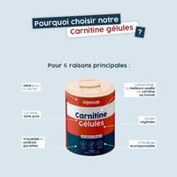 L-Carnitine CARNIPURE® - Gélules - AqeeLab Nutrition