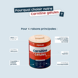L-Carnitine CARNIPURE® - Gélules