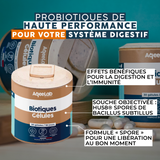 ProBiotiques Vegan - Gélules