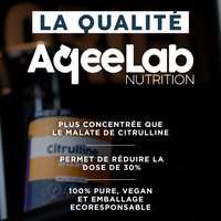 Citrulline Base - Poudre