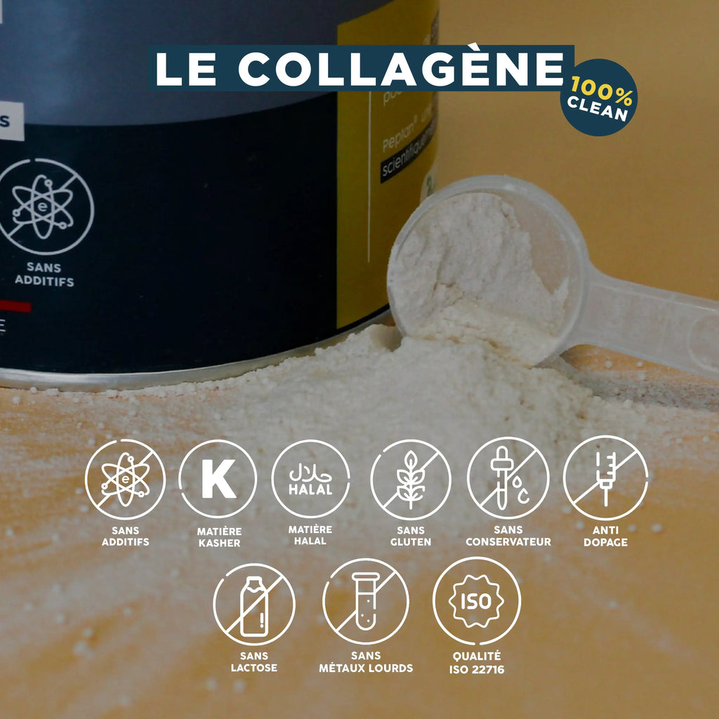 Peptides de Collagène Peptan type 1 - Poudre