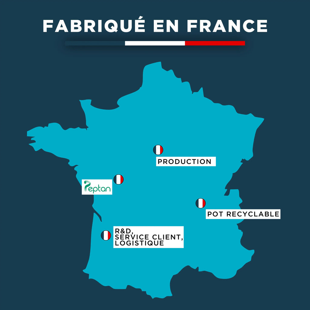 Peptides de Collagène Peptan type 1 - Poudre