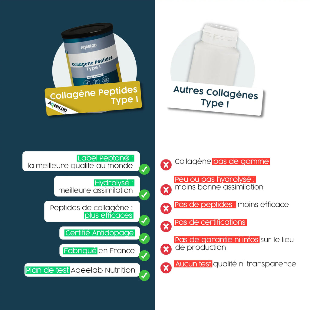 Peptides de Collagène Peptan type 1 - Poudre