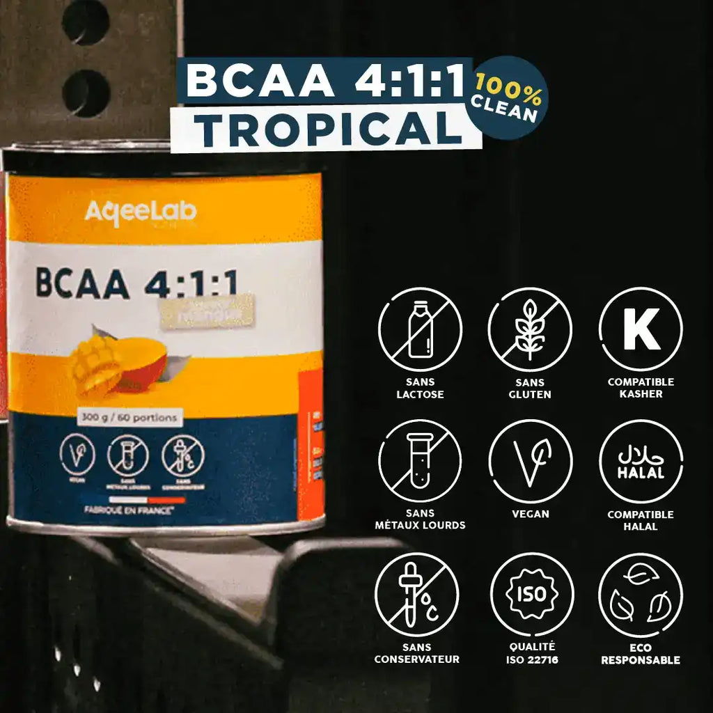 BCAA 4:1:1 - Poudre