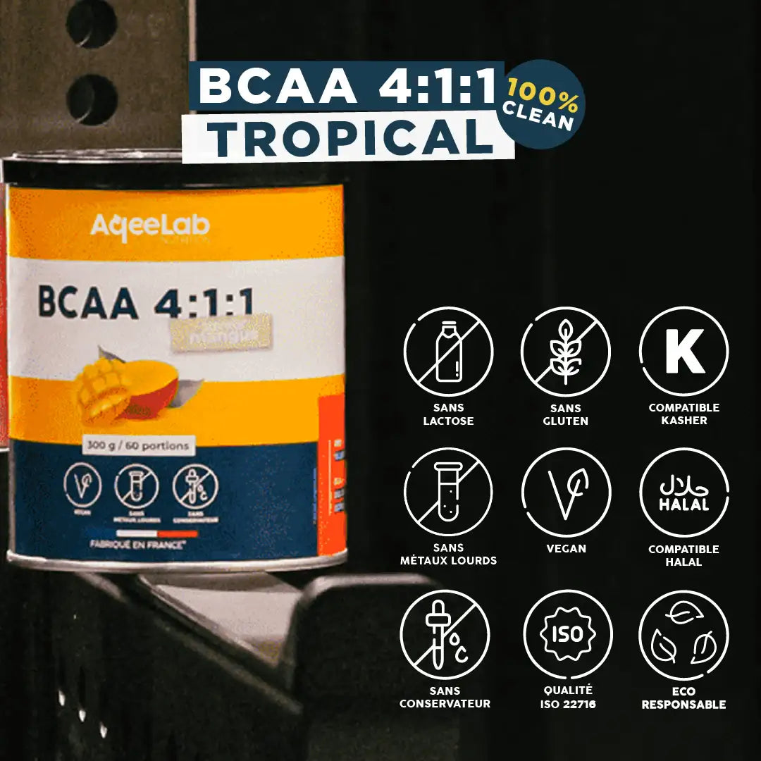 BCAA 4:1:1 - Poudre