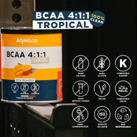 BCAA 4:1:1 - Poudre