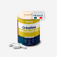 Créatine Monohydrate en gélules